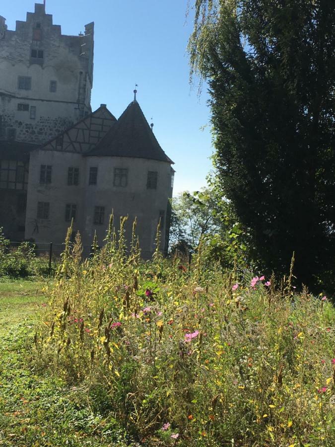 Ferienwohnungen Greitmann Meersburg Dış mekan fotoğraf